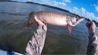 За щукой - 5! Самая крупная в этом сезоне - 4 кг. Ловля щуки троллингом. For pike!
