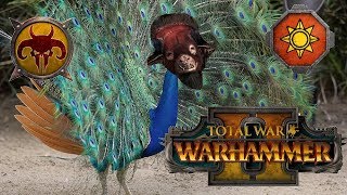 Beastmen & Lizardmen | MALAGOR & THE SHERBERT  - Total War Warhammer 2