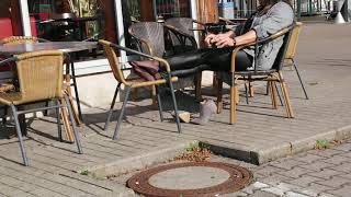 Herbstspaziergang in 13cm hohen Stiefeletten Teil 2
