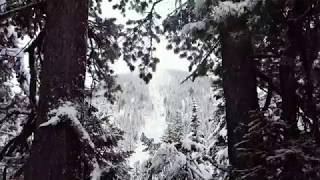 Мамай. Первый снег.