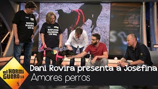 Dani Rovira presenta a Josefina, la perrita que intentó ser ahorcada - El Hormiguero 3.0