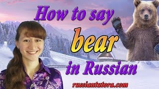 Bear in Russian translation | How to say bear in Russian or Russian word for bear