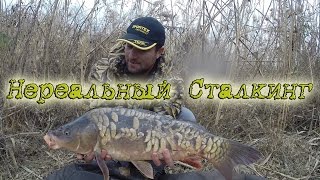 Приколы на рыбалке. Нереальный сталкинг Петра Миненко.