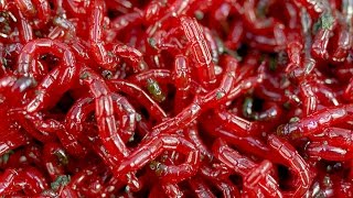 Три способа как быстро связать пучок мотыля.