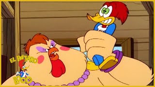 El Pajaro Loco en Español | Attila la Gallina | Dibujos Animados | Caricaturas para Niños