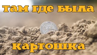 Поиск монет. ХОРОШИЙ УРОЖАЙ с картофельного поля [23.09.2015][Subtitles]