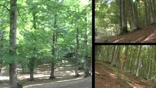 Sasso di Castalda - speciale 150 anni
