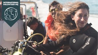 Volunteer in Portugal with IVHQ