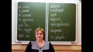 Видеоурок по русскому языку в 5 классе