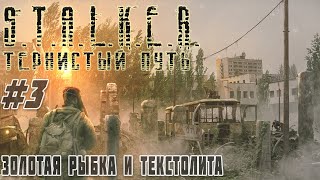 STALKER Тернистый Путь(Thorny Way) Текстолитовая основа, Темная душа и Золотая рыбка #3 #ForastPlay