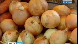 Выпуск «Вести-Иркутск» 28.06.2019 (17:00)