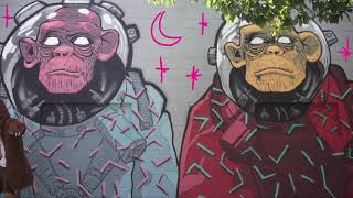 Shreddi Trailer // Street Art