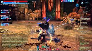 Tera Online. Dungeoning with friends