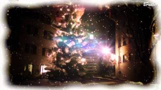 Am Weihnachtsbaum die Lichter brennen / Christmas Music / Weihnachtsmusik