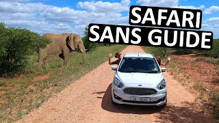 FAIRE UN SAFARI SANS GUIDE - Parc Kruger