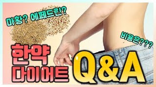한약 다이어트 Q&A 정리! 페인랩이 말하는 다이어트 이야기