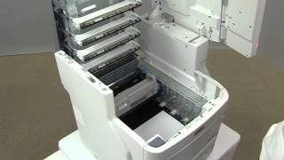 [MC780] How to remove jammed paper from Transfer belt unit?