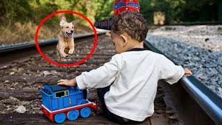 10 ЖИВОТНЫХ, КОТОРЫЕ СПАСЛИ ЖИЗНЬ ЛЮДЯМ