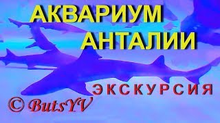 Турция. Анталийский Аквариум (экскурсия). Turkey. Antalya Aquarium (excursion)