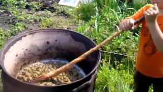 Лечебное варенье из сосновых шишек 2