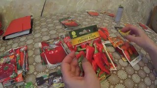 ОБЗОР СОРТОВ ПЕРЦА!!!