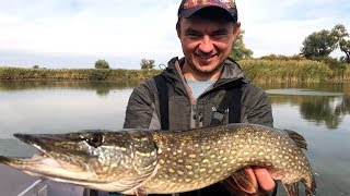 Где искать хищника осенью? Рыбалка на Днепре 2019