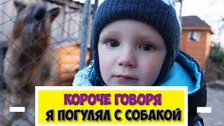 КОРОЧЕ ГОВОРЯ, Я ПОГУЛЯЛ С СОБАКОЙ