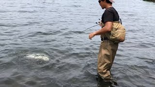 【琵琶湖バス釣り】ちょっと水に浸かるだけで釣果は上がる