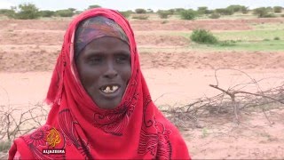 Somalia drought: Tens of thousands in need of food