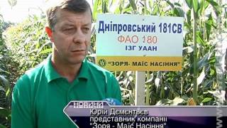 ЖОДТРК. Новини. Кукурудза. ПП "Радівське"