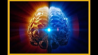 Решение проблемы браконьерства на Дальнем Востоке - аудитотекст статьи яндекс-дзен