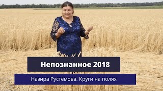 НЕПОЗНАННОЕ 2018: Назира Рустемова, круги на полях