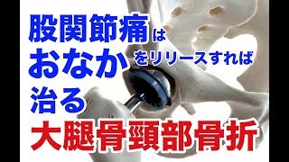 【大腿骨頚部骨折】股関節痛は、おなかをリリースすれば治る！【股関節痛 ストレッチ マッサージ】
