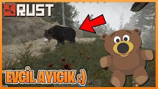 YENİ EVCİL AYICIĞIM ! RUST SURVİVAL YENİ SERİ (Rust Türkçe Bölüm 1)