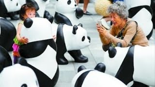 上海百只"大熊猫"亮相 被指侵权 主办方称已注册品牌 毛竹角料制成宣扬环保