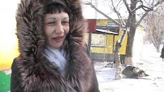 В Благовещенске на остановке собака ждёт хозяина
