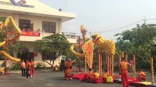 Lân lên mai hoa thung hái lộc đầu năm [LSr Quang Trung Đường]