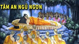 Đêm Trằn Trọc Khó Ngủ - Hãy Nghe Phật Kể về Nhân Quả Trong Cuộc Sống Để Tâm An Hướng Thiện Ngủ Ngon
