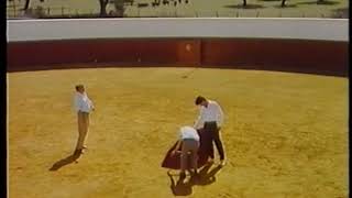 LECCIONES DE TOREO DE PACO RABAL