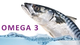 OMEGA 3 Kapseln mit Fischöl von Ambivitalis ab sofort auf Amazon