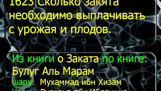 1623 Сколько закята необходимо выплачивать с урожая и плодов