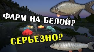 РУССКАЯ РЫБАЛКА 4. Фарм серебра на Белой. Лещ, Голавль, Хариус и другие на реке Белая.