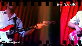 ВИА "ВАСИЛЁК"