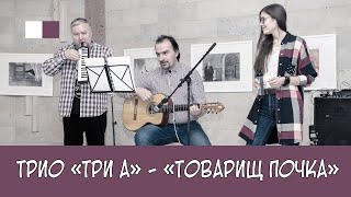 ТриА - Товарищ почка