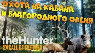 theHunter Call of the Wild #4 - Охота на кабана и благородного оленя