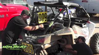Arctic Cat Wildcat - WORCS Racing - PRIMM NV