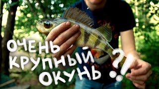 ПОЕЗДКА В ЛИТВУ / БЕЗУМНАЯ РЫБАЛКА / Trip to Lithuania and Fishing