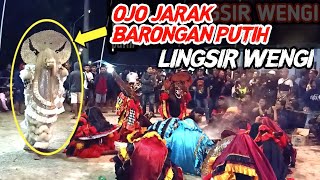 Angkerrr.!! Lingsir Wengi versi Jaranan Turonggo Mayang Djambe