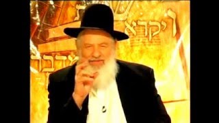 ✡✡✡ הרב אורי זוהר שליט"א - הידברות - פרשת השבוע - פרשת תרומה ✡✡✡