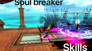 Avabel online - Soul breaker skills + Ex skill (Test PvP)